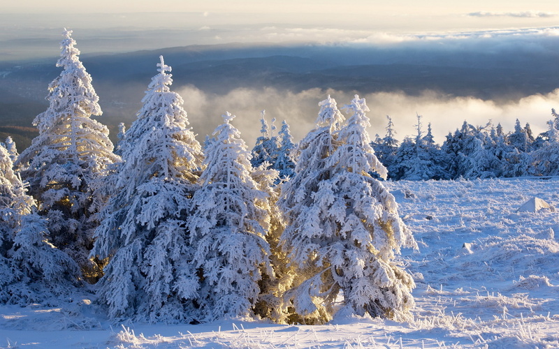 Brocken, Resin, Winter, Schnee, Tanne, Morgen, 1080P, Clouds