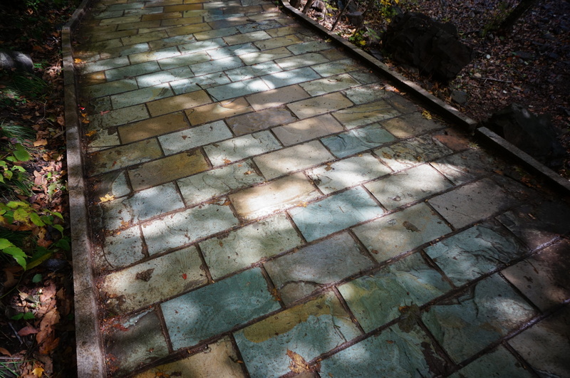 water, tile, the way forward, architecture, Road, high angle view, cobblestone, footpath, pattern, no people, 2K, steps and staircases, nature, paving stone