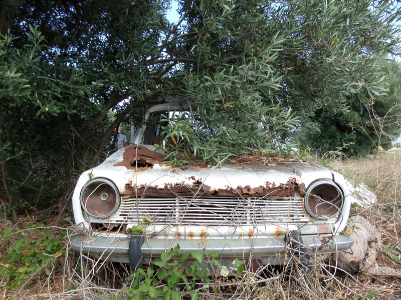 land vehicle, land, metal, growth, outdoors, corroded, 4K, transportation, motor vehicle, old, decline, tree, run-down, day, wreck, nature, field, car