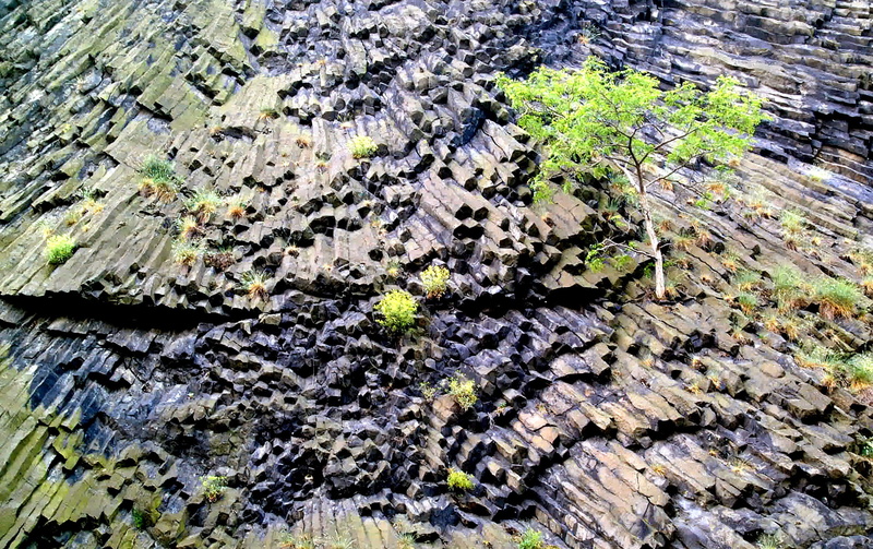 textured, Basalt, backgrounds, Life, high angle view, leaf, rock, Plants, growth, tree, architecture, full frame, outdoors, no people, nature, moss, built structure