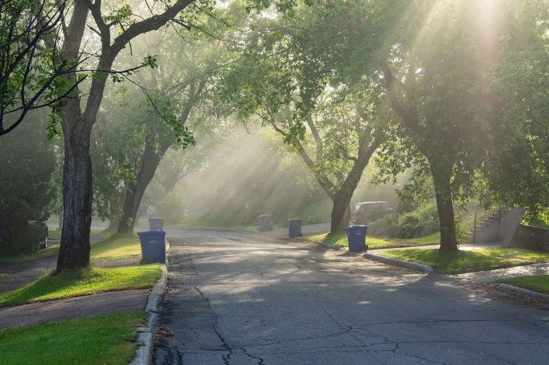 footpath, tree, outdoors, full length, asphalt, brume, growth, casual clothing, park, day, leisure activity, morning, rue, transportation, plant, fog, sunlight