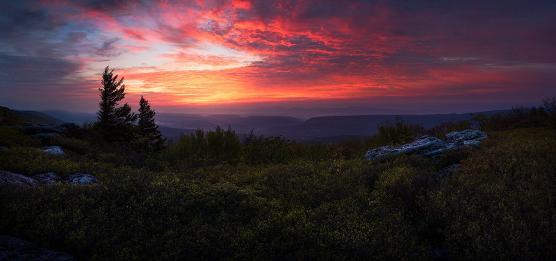 sunset, photography nature sky trees mountains rocks sunset grass brume plants far view, pine tree, plant, forest, cloud - sky, tranquil scene, outdoors