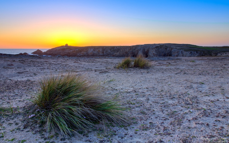 sand Dune, outdoors, dusk, heat - Temperature, nature, sunlight, sand, scenics, sunrise - Dawn, dry, sun, land, grass, 2K, plant, tranquility, orange Color