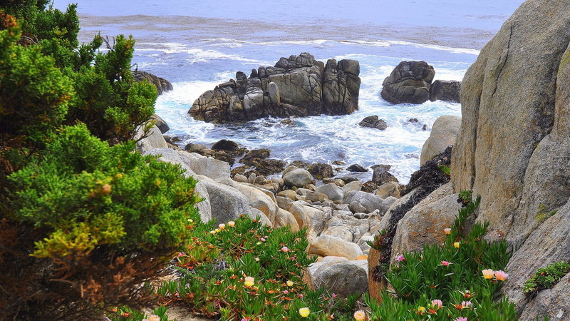 rock formation, coast, rocks, tranquil scene, beauty in nature, landscape, motion, flowing water, plants, beach, water, flowers, plant, leafed, nature