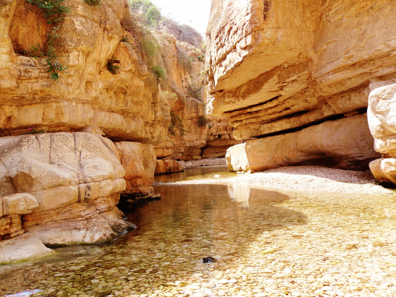 brown, desert, solid, national Park, canyon, scenics - nature, tourism, rocks, day, cultures, tranquil scene, famous Place, nature, tranquility, national Landmark