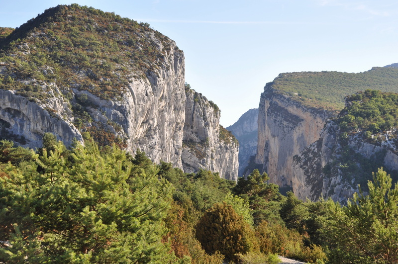 rock - object, plant, outdoors, growth, rock formation, river, verdon, tranquility, rock, non-urban scene, tree, water, gorges, france, mountain range