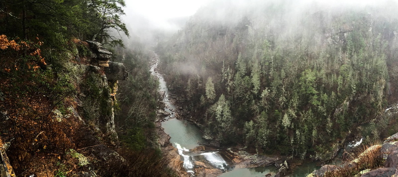 forest, Trees, 2K, Gorge, Stream, Tallulah Gorge, Georgia