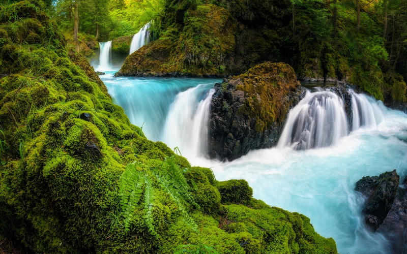 USA, Moss, Stones, Washington, Gorge, River, Columbia, Waterfalls, 1080P