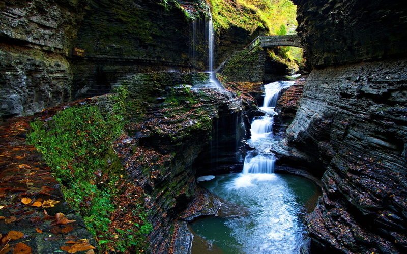 non-urban scene, beauty in nature, no people, watkins, tree, land, nature, motion, rock, rainforest, forest, falling water, flowing water, 2K, power in nature