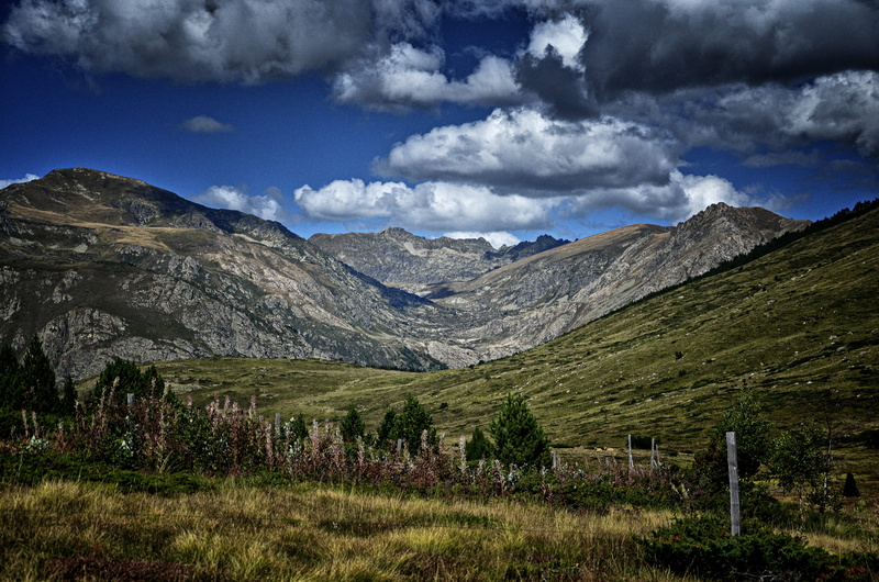 rolling landscape, cloud - sky, scenics - nature, plant, 4K, tranquility, tranquil scene, mountain ridge, land, nature, no people, mountain, sky, tree