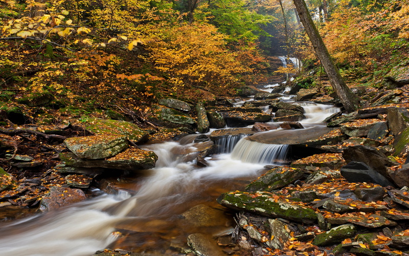 states, change, no people, long exposure, solid, flowing, water, ricketts, united, red, park, forest, leaves, hd, motion, waterfall, glen, rocks