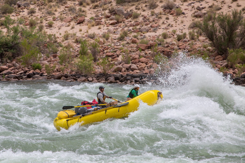 herbert, fun, sport, real people, transportation, fast, paddle, leisure activity, men, whitewater, rafting, fitness, challenge, craft, nature, river, motion