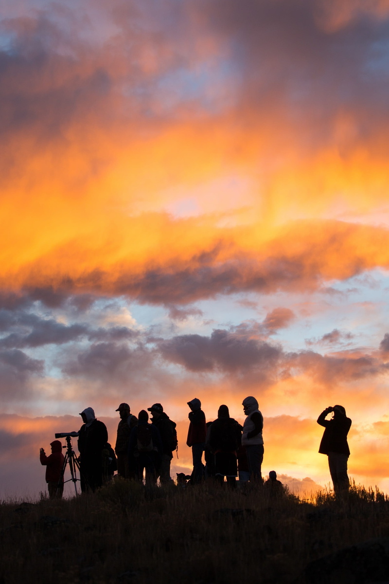 cloud - sky, togetherness, dawn, women, sunrise, wildlife, lifestyles, leisure activity, group of people, morning, activities, field, outdoors, herbert