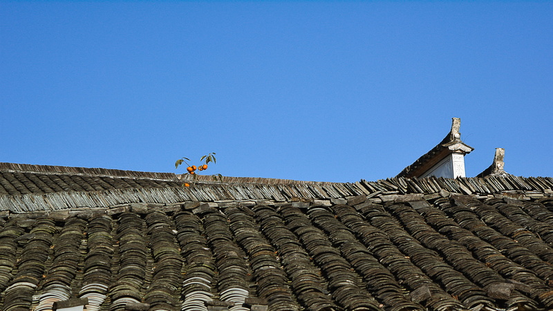 day, built structure, building exterior, art and craft, travel destinations, history, huangshan, the past, animal, animal themes, roof, outdoors, huipai