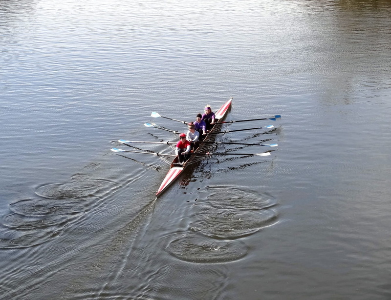 rowboat, teamwork, boat, Boat, high angle view, riding, sports, 720P, sport rowing, Water, nautical vessel, adult, River, body, lake, outdoors, cooperation