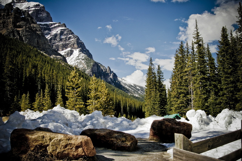 cloud, non-urban scene, alberta, landscape, pine tree, banff National Park, flowing water, nature, water, rocky, bright, pine, green, national park, idyllic