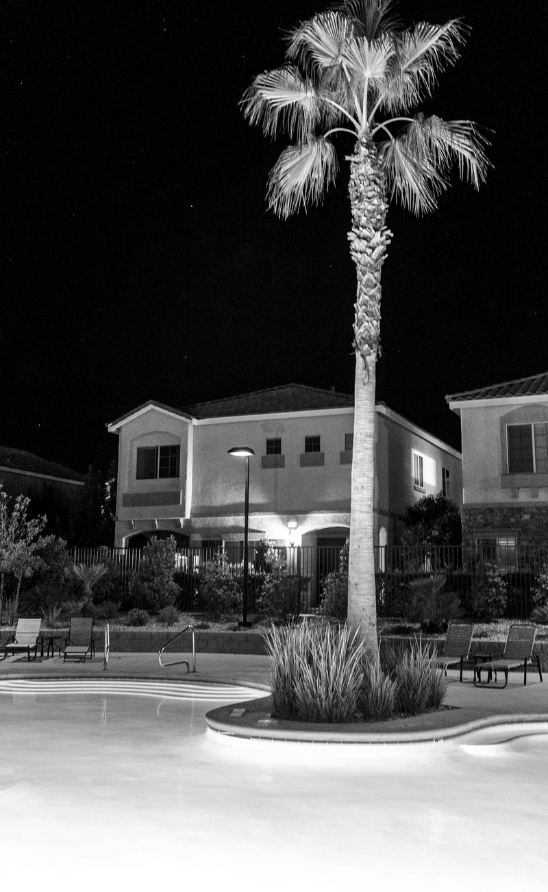 united states, sony a7s ii, tropical climate, snow, house, sony alpha, downtown, 4K, outdoors, built structure, photography, palm tree, las vegas, zeiss
