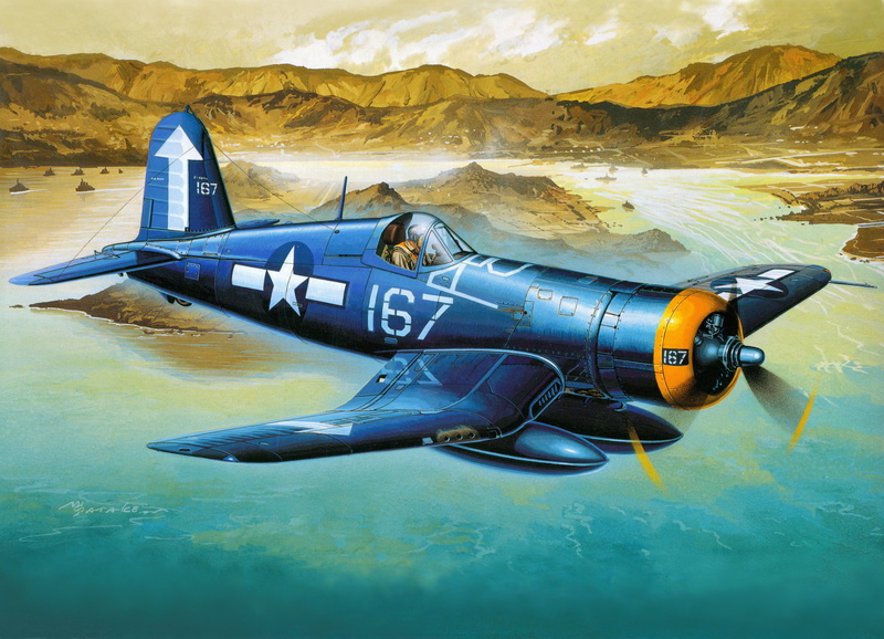 government, water, adventure, sea, airplane, deck, side view, aggression, travel, military airplane, nature, underwater, plane, mode of transportation