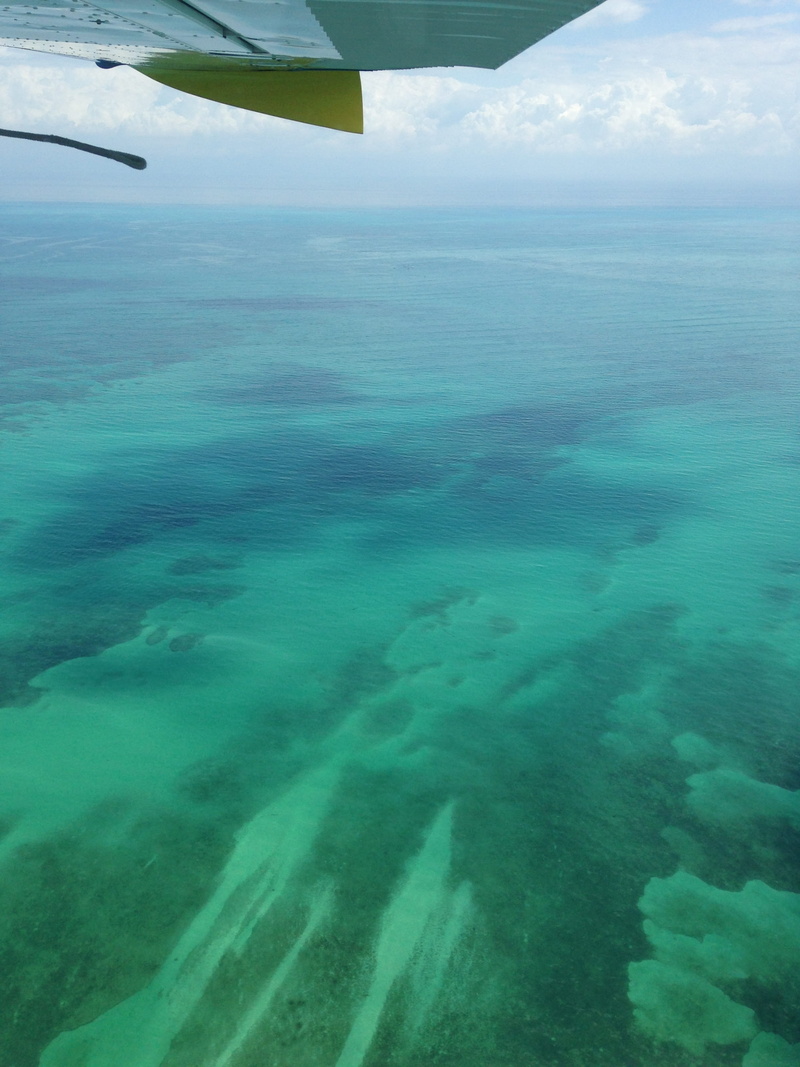 bright, aerial view, transportation, nature, colors, plane, blue, cloud - sky, sea, air vehicle, sea plane, simple, day, 2K, minimal, turquoise colored