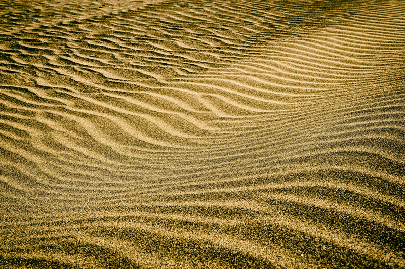 sunlight, gold, landscape, full frame, wave Pattern, outdoors, day, sand, no people, arid climate, textured, environment, backgrounds, desert, climate