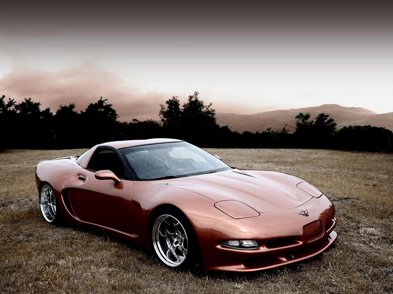 coupe, brown, cars, 1080P, yr
