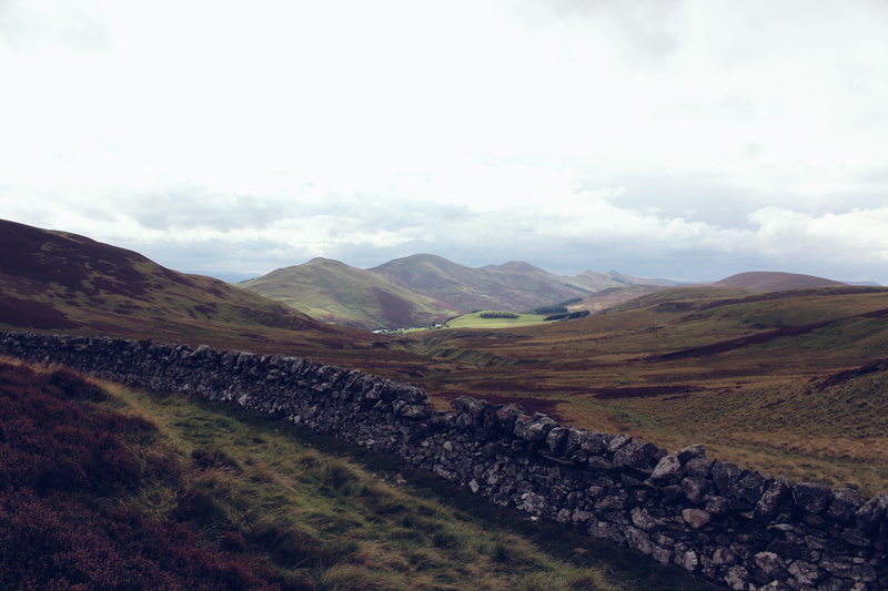 day, farmland, rolling landscape, hills, sky, land, scenics - nature, tranquil scene, landscape, grass, environment, non-urban scene, grassland, moores