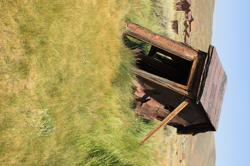 leisure activity, frozen time, green color, wood - material, wooden, far west, one person, 5K, ghost, old toilet, built structure, growth, gold rush, outdoors
