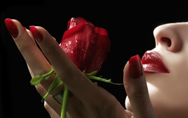 red, amp, lips, 2K, rose, flowers
