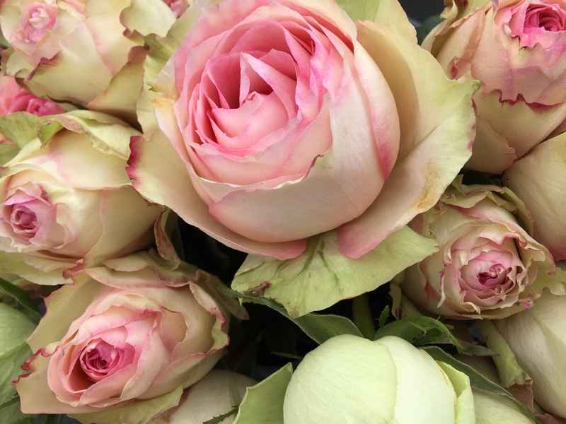 flower market, flower head, flower arrangement, freshness, flower, plant, pinkroses, floral, 2K, bunch of flowers, fragility, high angle view, vulnerability