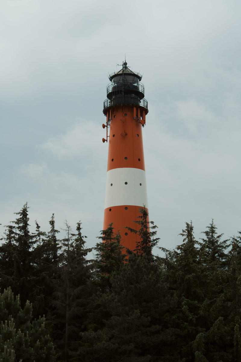 seaside, built structure, forest, security, sky, nature, tower, windy, building, no people, direction, lighthouse, protection, outdoors, cloud - sky, architecture