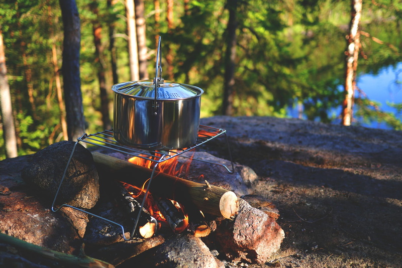 forest, land, fire, trunk, campfire, 1080P, heat - temperature, wood, nature, cooker, focus on foreground, outdoors, day, cook, tree trunk, no people