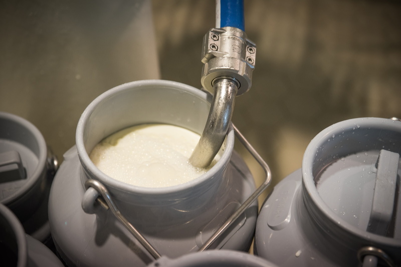 business, dairy, milk, cows milk, food, saucepan, 5K, close-up, cow, preparation, household equipment, drink, ladle, milk can, farm, dairy product, nutrition