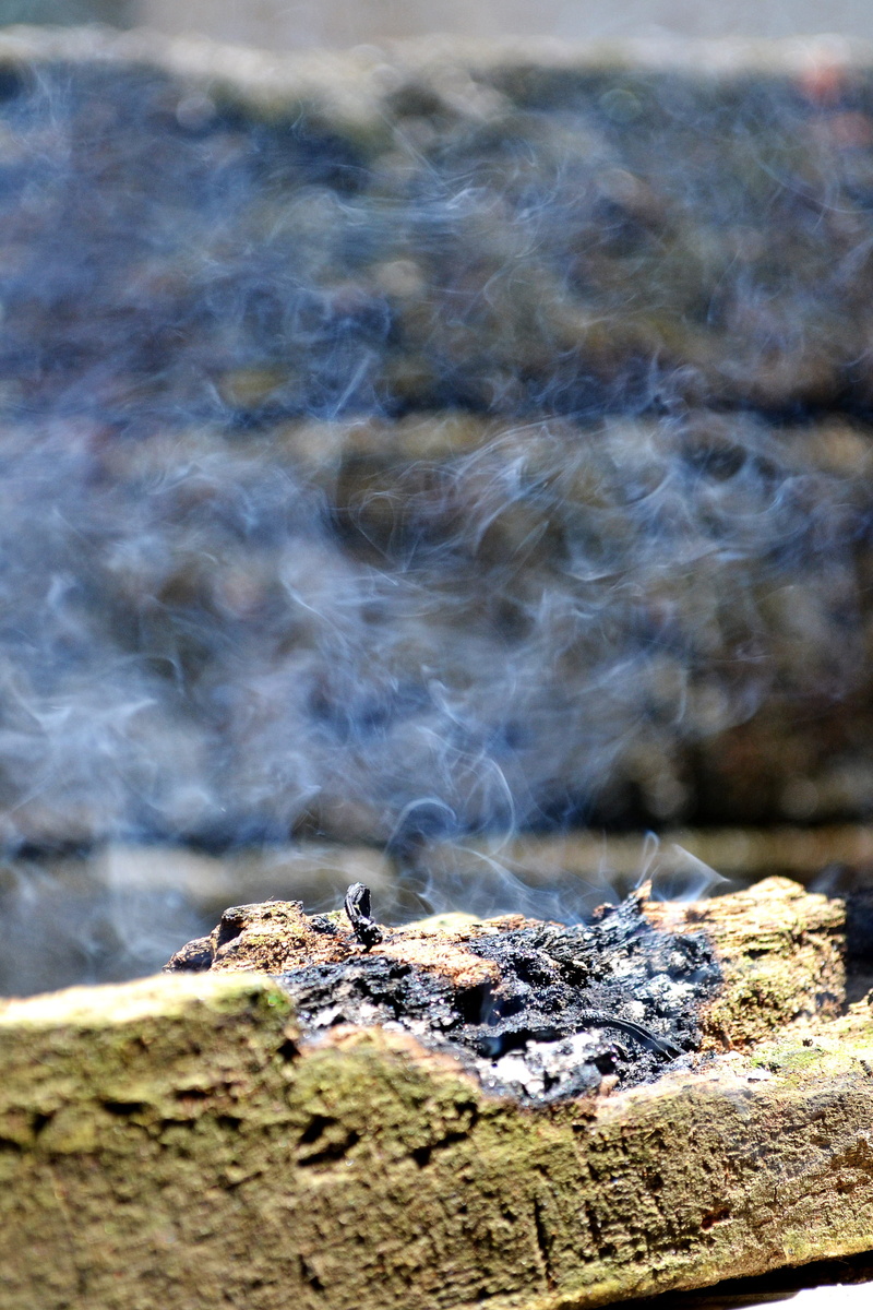 dispersed smoke, mawanella, ceylon, sri lanka, smoke - physical structure, steam, rock - object, animals in the wild, rough, geology, day, emitting, close-up