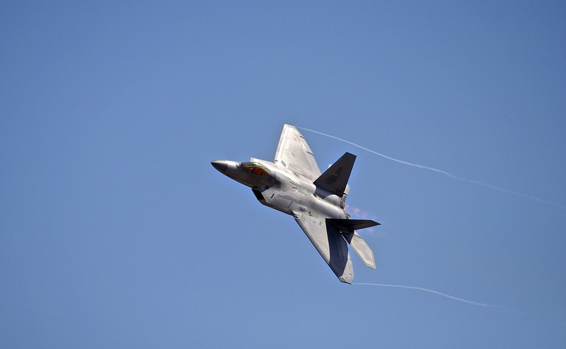animal, transportation, airshow, mode of transportation, nature, raptor, vapor trail, military, flying, blue, outdoors, mid-air, on the move, airplane