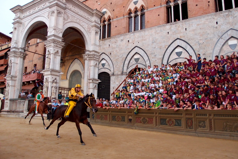 horse, sienna, pets, riding, domestic animals, group of people, jockey, people, palio, races, mammal, real people, domestic, outdoors, vertebrate, 2K