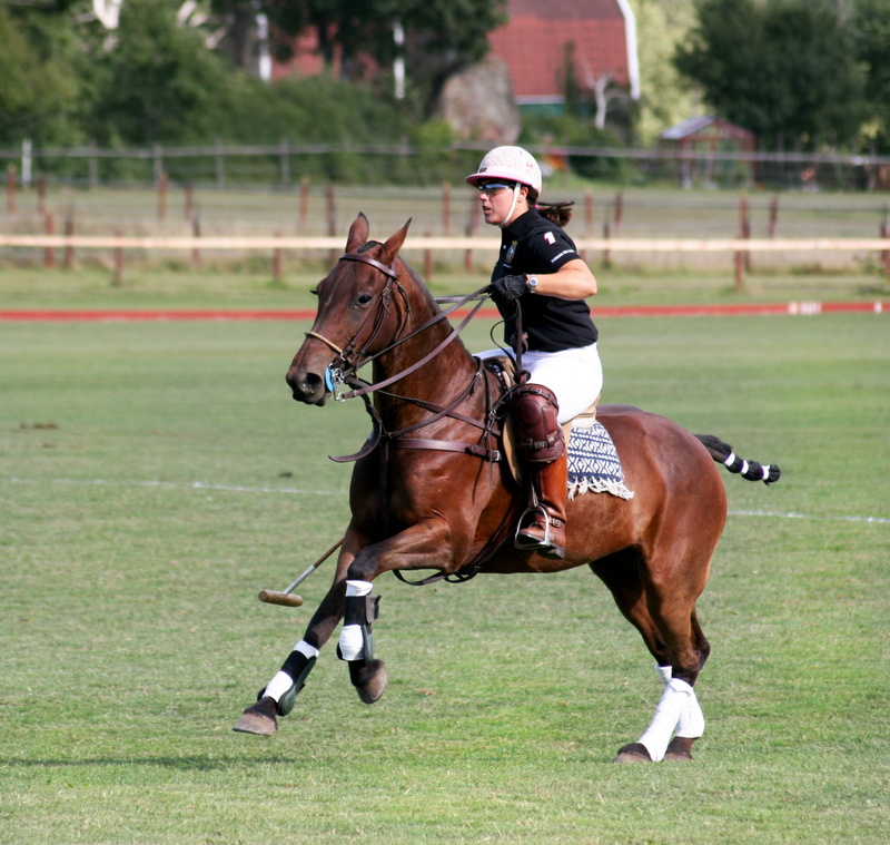 sports And Fitness, animal, 1080P, jockey, horse Racing, sports Race, field, excitement, sport, pets, Horse, horseracing Track, racehorse, Equestrian