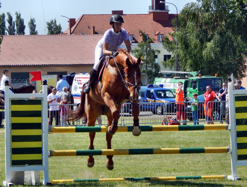 domestic, livestock, group of people, pets, real people, vertebrate, herbivorous, mammal, building exterior, horseback riding, jockey, Horses, riding, men