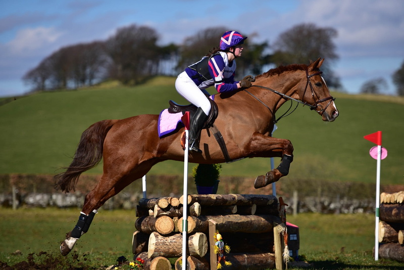 herbivorous, equine, 1080P, horse, livestock, jockey, jumping, riding equestrian, riding, pets, field, nature, activity, competition, sport, domestic animals