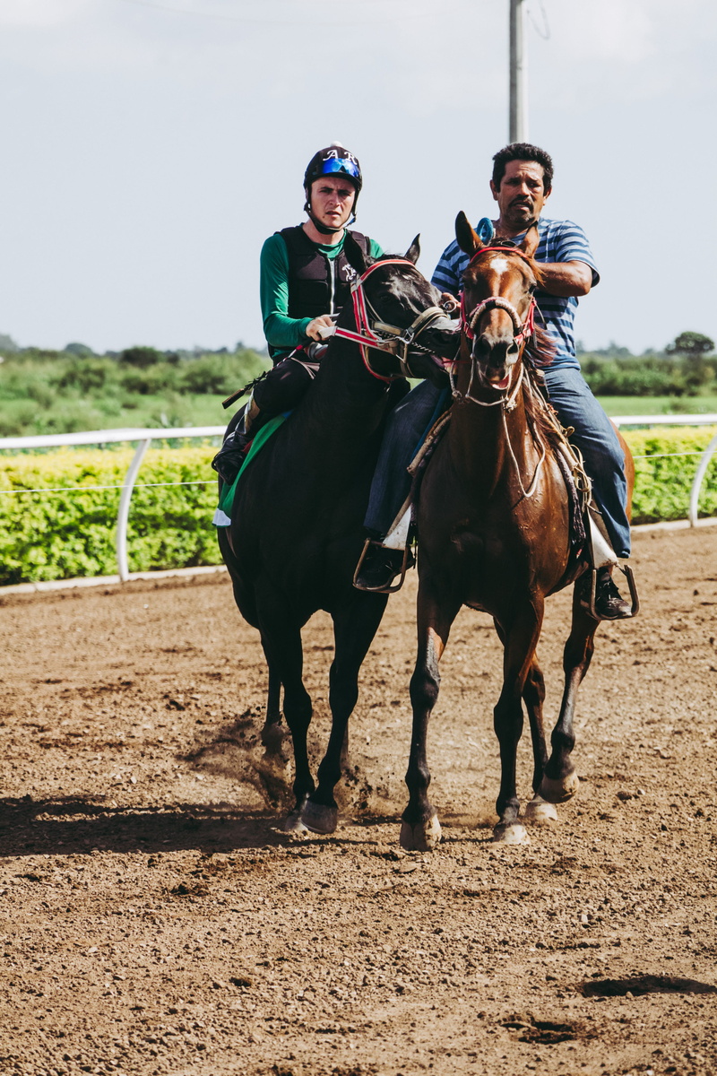 livestock, gamble, competition, adult, real people, horse rider, race track, rider, domestic animals, activity, horse, jockey, horseback riding, ride, recreation