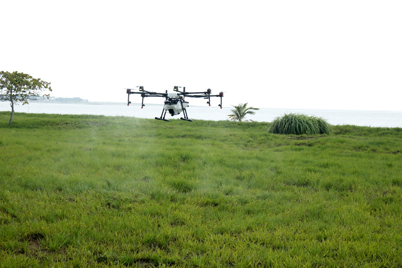 sky, tranquil scene, tree, fumigation, drone, growth, no people, environment, tranquility, day, spray, 5K, cultivation, agriculture, green color, sea level