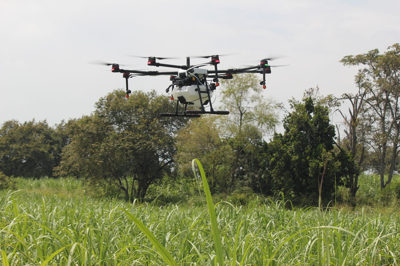 5K, fine drop, outdoors, mode of transportation, technology, plant, green color, nature, day, spray, tree, transportation, flying, sky, drone, cultivation