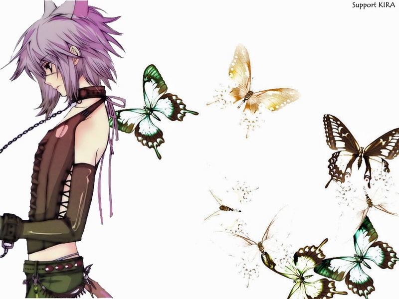 hair, animals, Loveless, anime, ritsuka, collar, 480P, cat, hd, aoyagi, chai, boys, purple, ears, butterflies, art, nekomimi, leash