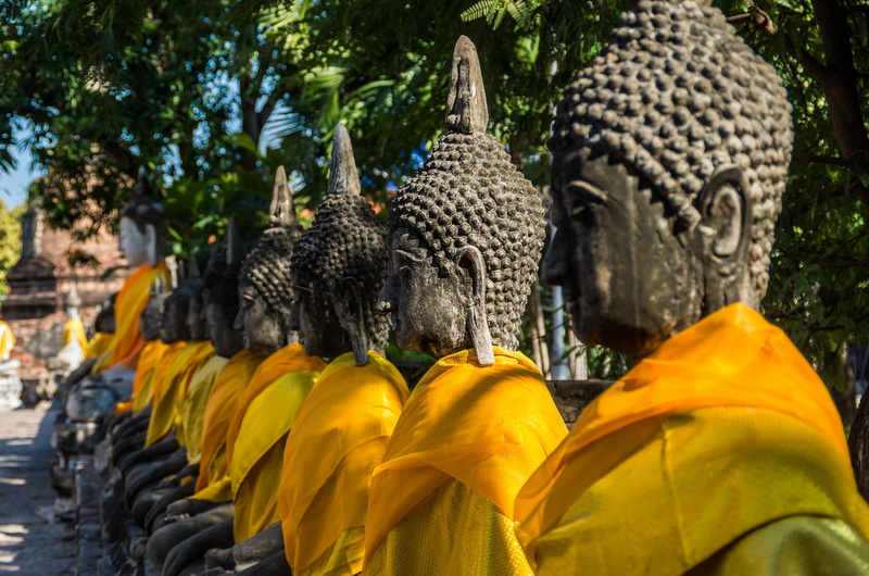 belief, religion, outdoors, human representation, buddha, yellow, spirituality, 4K, in a row, Thailand, tree, Wat Yai Chai Mongkhon, statue, Temple, art and craft