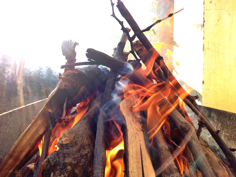 heat - temperature, wood - material, smoke - physical structure, wood, motion, bonfire, smoke, flame, day, nature, burning, fire - natural phenomenon, mangal