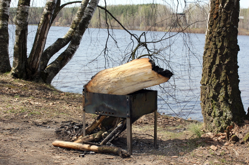 nature, vacation, tree, day, wood, log, 5K, trees, mangal, outdoors, land, firewood, river, branch, food, no people, russia, wood - material, bare tree