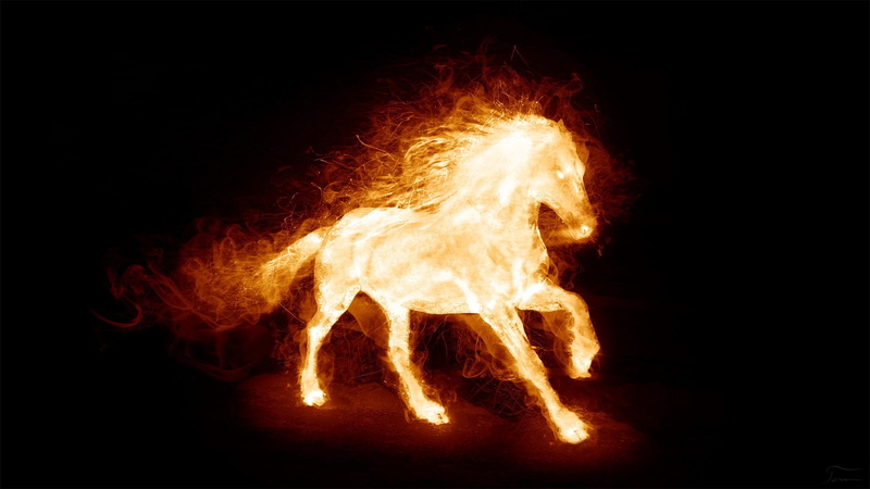 x, animals, 1080P, hd, art, Fire, horses
