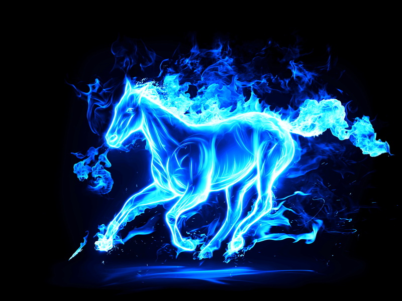 graphics, night, no people, smoke - physical structure, studio shot, heat - temperature, motion, nature, glowing, abstract, close-up, animals, horse, fire