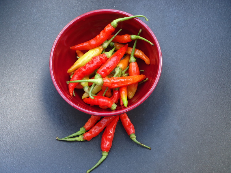 vegetable, no people, close-up, vegetables, chilis, chili pepper, hot, still life, directly above, chili, spicy, 4K, ingredients, spice, freshness, ingredient