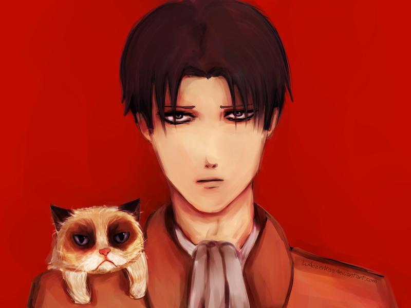 kyojin, 1080P, shingeki, cats, rivaille, cat