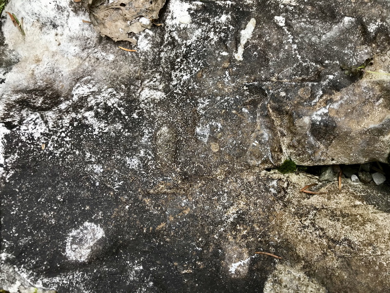 rough, dirt, full frame, nature, hiking, rock, adventuretime, leafs, iphone, weathered, outdoors, hike, wall, national park, iphonephotography, textured